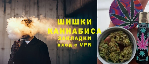 индика Верхний Тагил