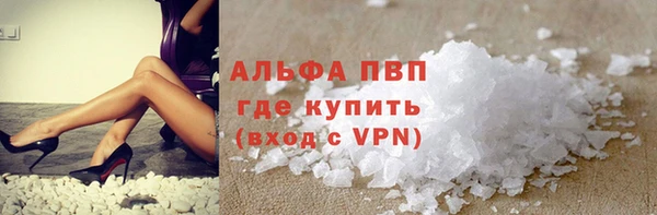 индика Верхний Тагил