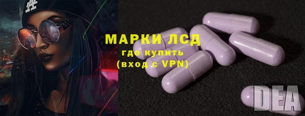 индика Верхний Тагил
