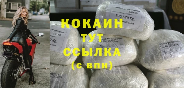 индика Верхний Тагил