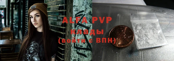 индика Верхний Тагил
